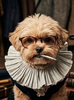 Glasses on. Thinking about dinner.